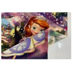 فرش کودک اختصاصی طرح پرنسس صوفیا - تصویر 10