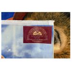 فرش کودک طرح پادینگتون کد 100232 - تصویر 5