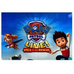 فرش کودک پاو پاترول کد 1004 - تصویر 4