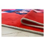 فرش اختصاصی چاپی میراکلوس دخترانه کد 1077 - تصویر 3