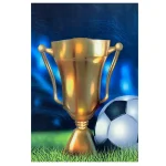 فرش کودک اختصاصی زمین فوتبال - تصویر 2