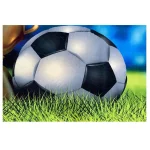 فرش کودک اختصاصی زمین فوتبال - تصویر 3