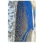 فرش کودک بچه رییس کدSB950 - تصویر 4