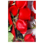 فرش طرح گل رز قرمز کد 1125 - تصویر 2