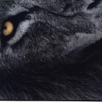 فرش کودک طرح شیر کد 25KN0000 - تصویر 6